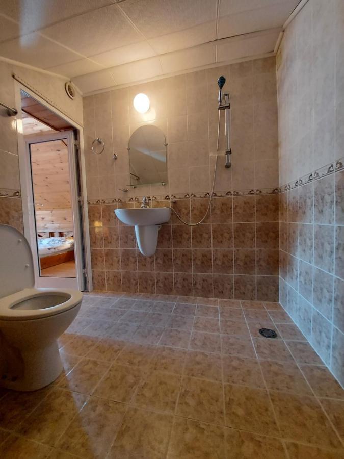 Vasi Apartments Dobriniste Kültér fotó